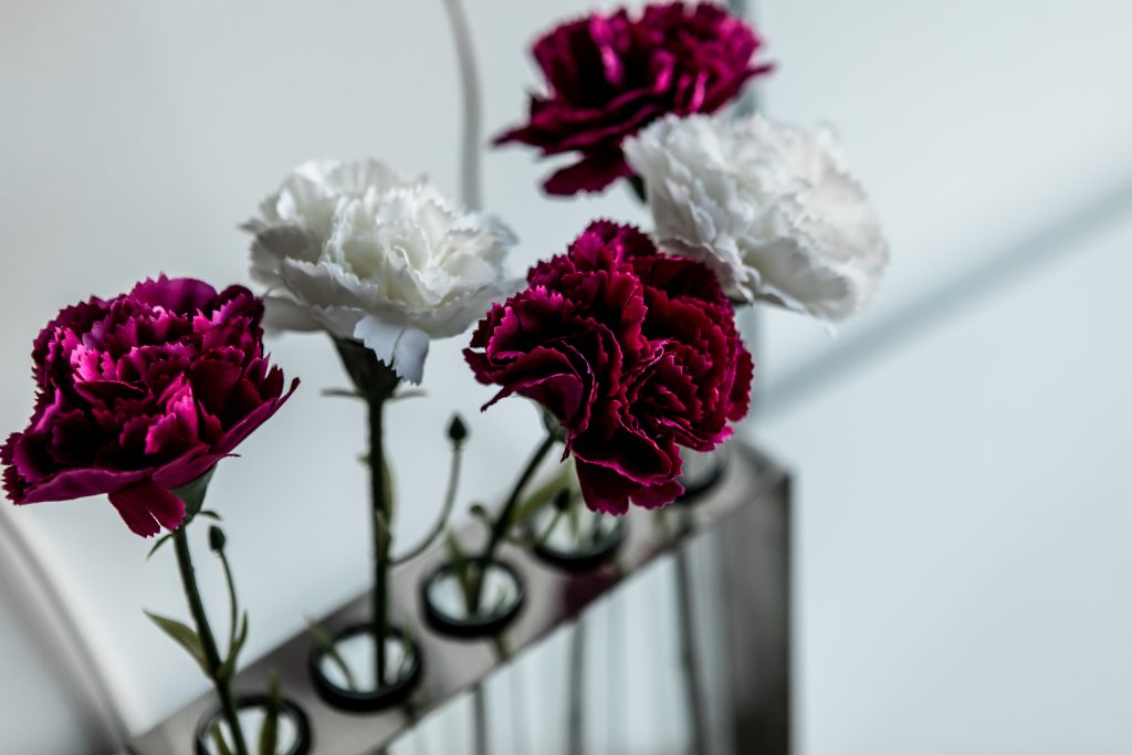 USSISHKIN HOSTEL FLOWERS